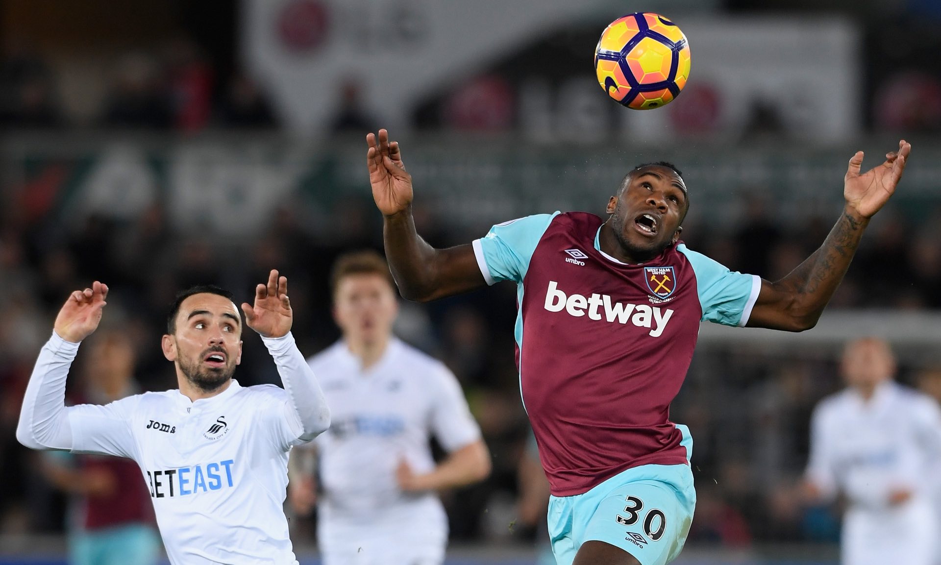 分享都是与 分享都是与